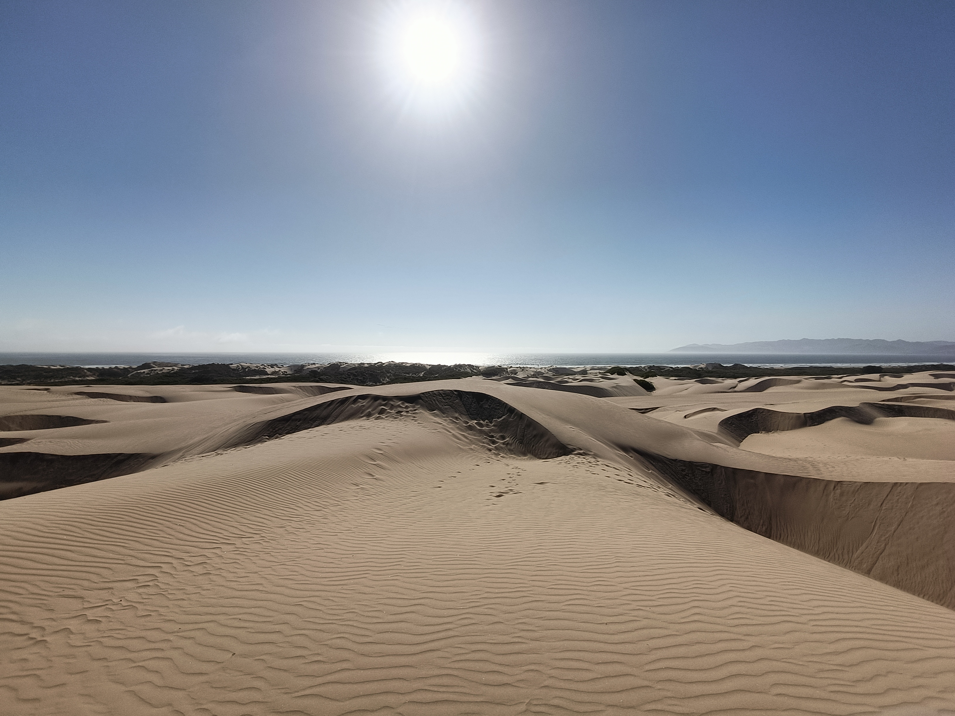 Pacific Dunes
